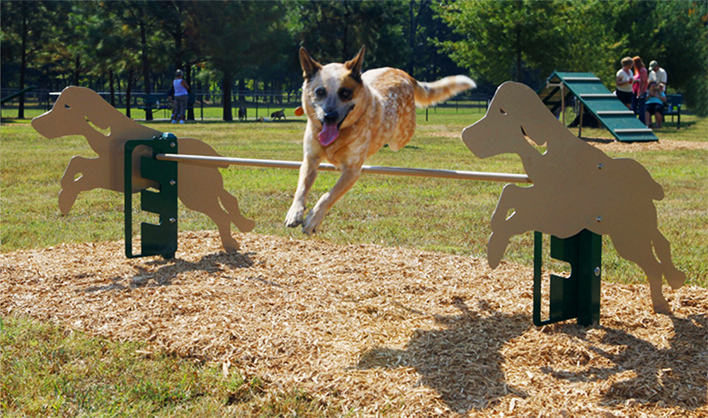Dog Hurdle for Dog Parks